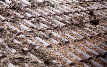 West Amesbury roof cleaning companies