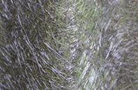 West Amesbury fibreglass roof work